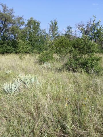 Lot 6 County Road 601 Brownwood TX 76801