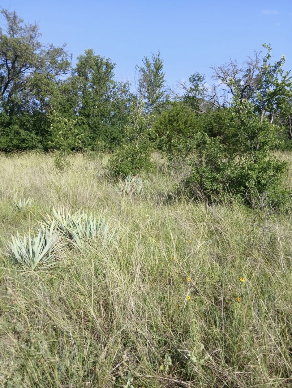 Lot 6 County Road 601 Brownwood TX 76801