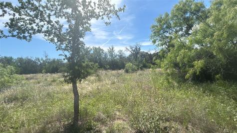Lot 6 County Road 601 Brownwood TX 76801