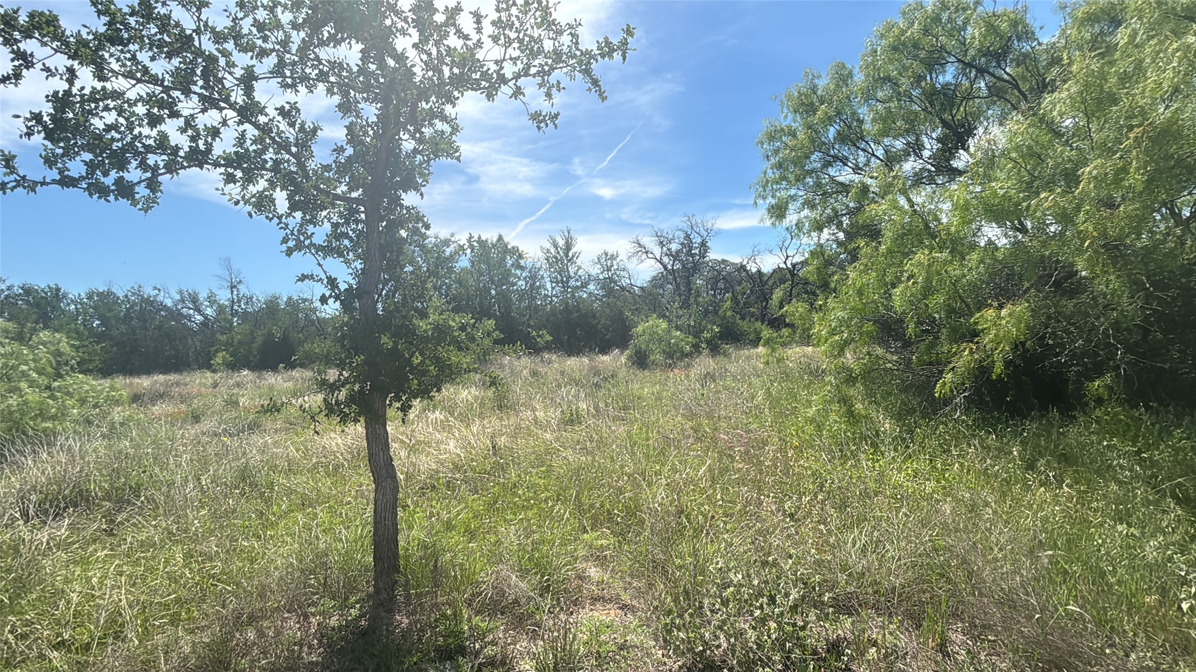 Lot 6 County Road 601 Brownwood TX 76801