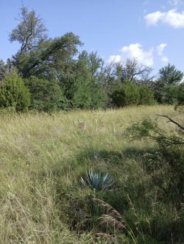 Lot 6 County Road 601 Brownwood TX 76801