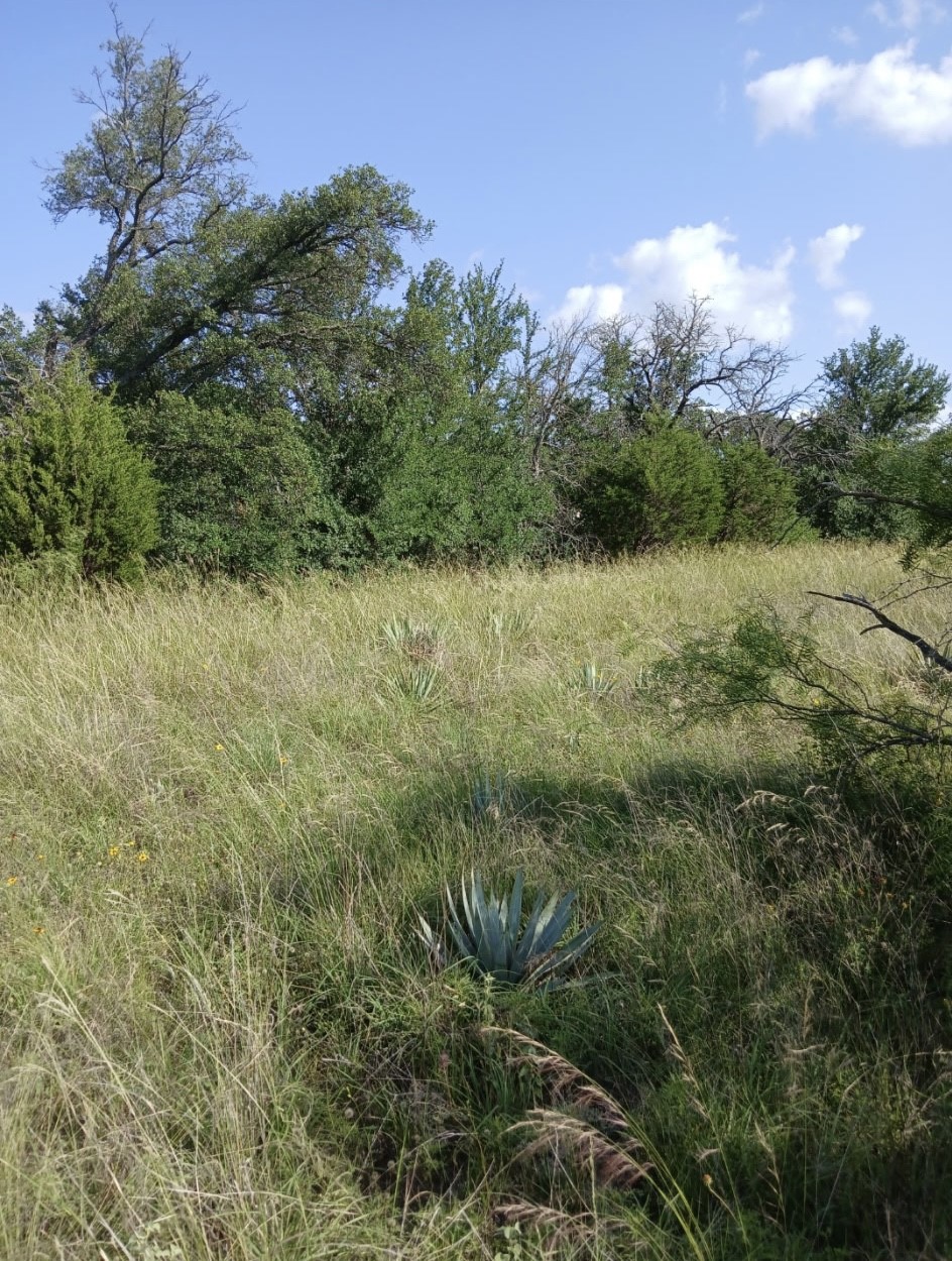 Lot 6 County Road 601 Brownwood TX 76801