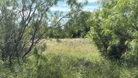Lot 6 County Road 601 Brownwood TX 76801