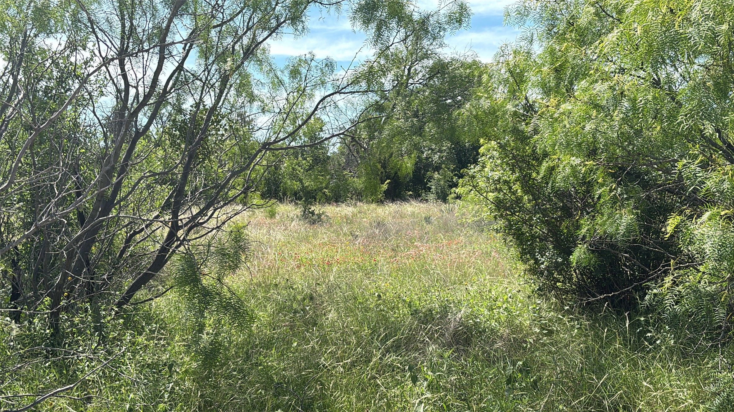Lot 6 County Road 601 Brownwood TX 76801