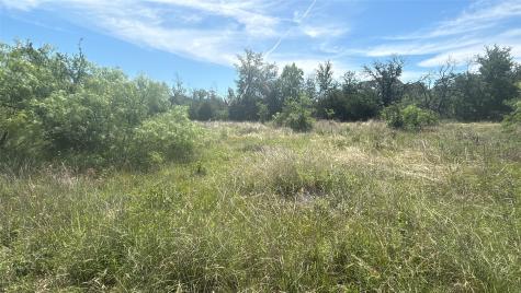 Lot 6 County Road 601 Brownwood TX 76801