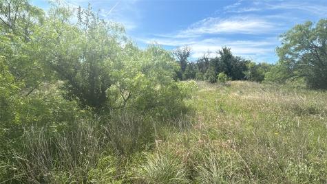 Lot 6 County Road 601 Brownwood TX 76801