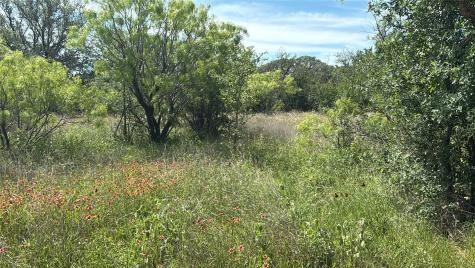 Lot 6 County Road 601 Brownwood TX 76801