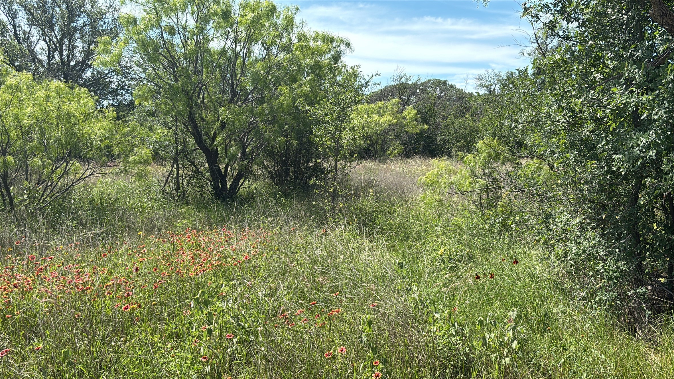 Lot 6 County Road 601 Brownwood TX 76801