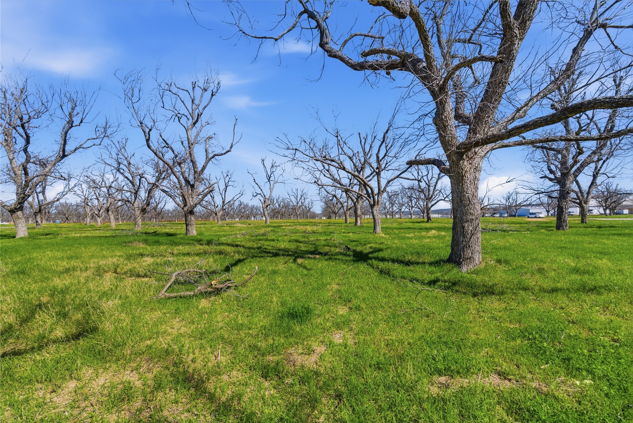 1730 Cirrus Loop Granbury TX 76049