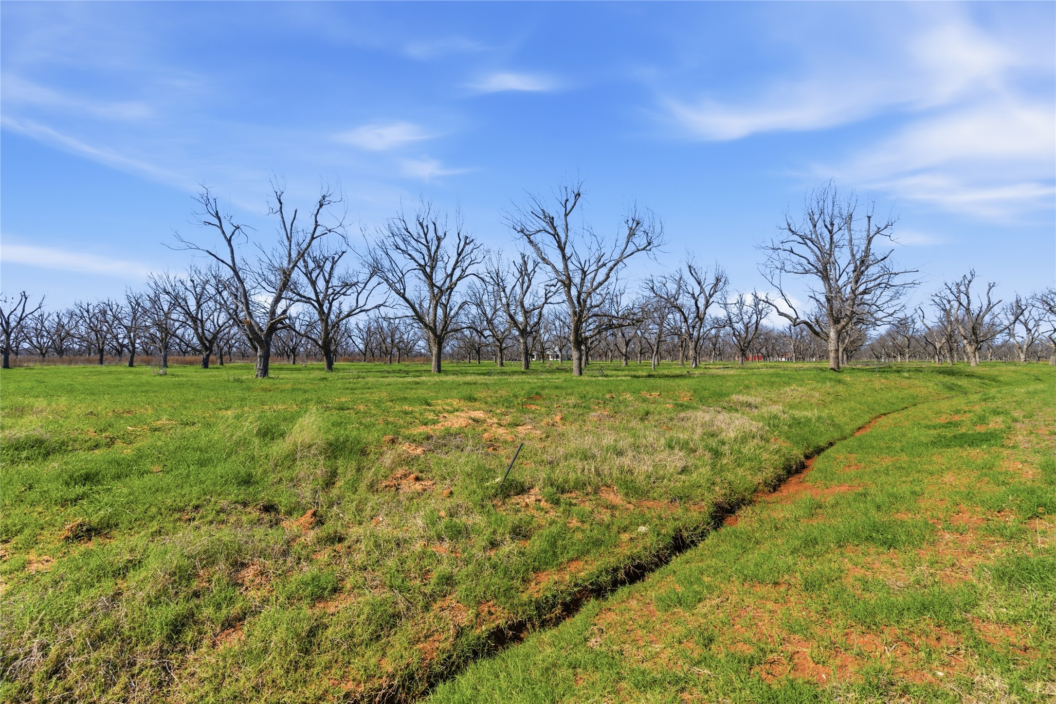 1730 Cirrus Loop Granbury TX 76049