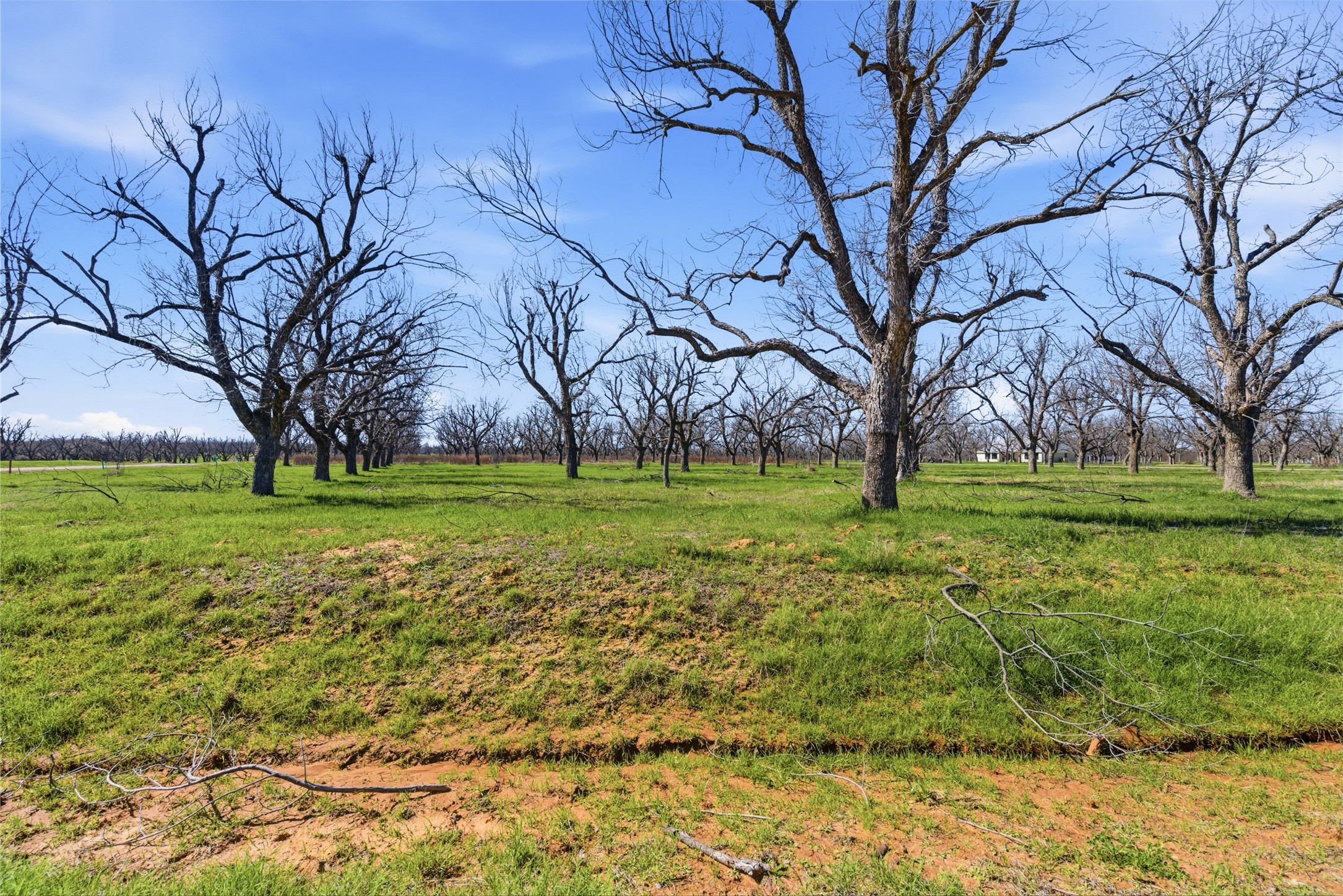 1730 Cirrus Loop Granbury TX 76049