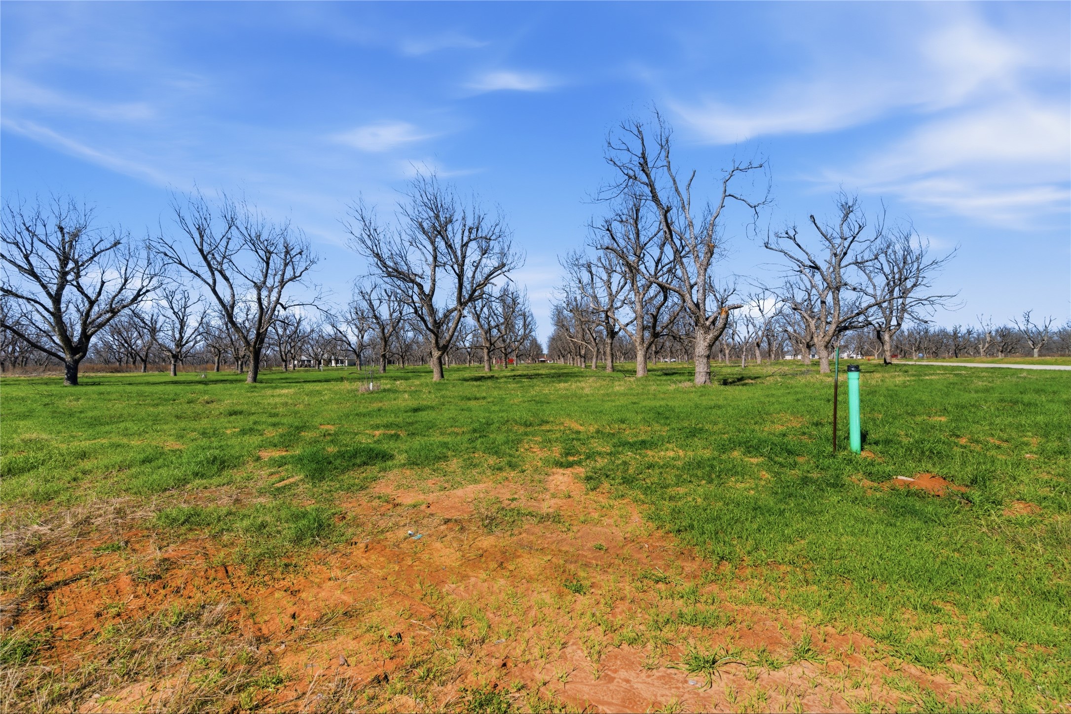 1730 Cirrus Loop Granbury TX 76049