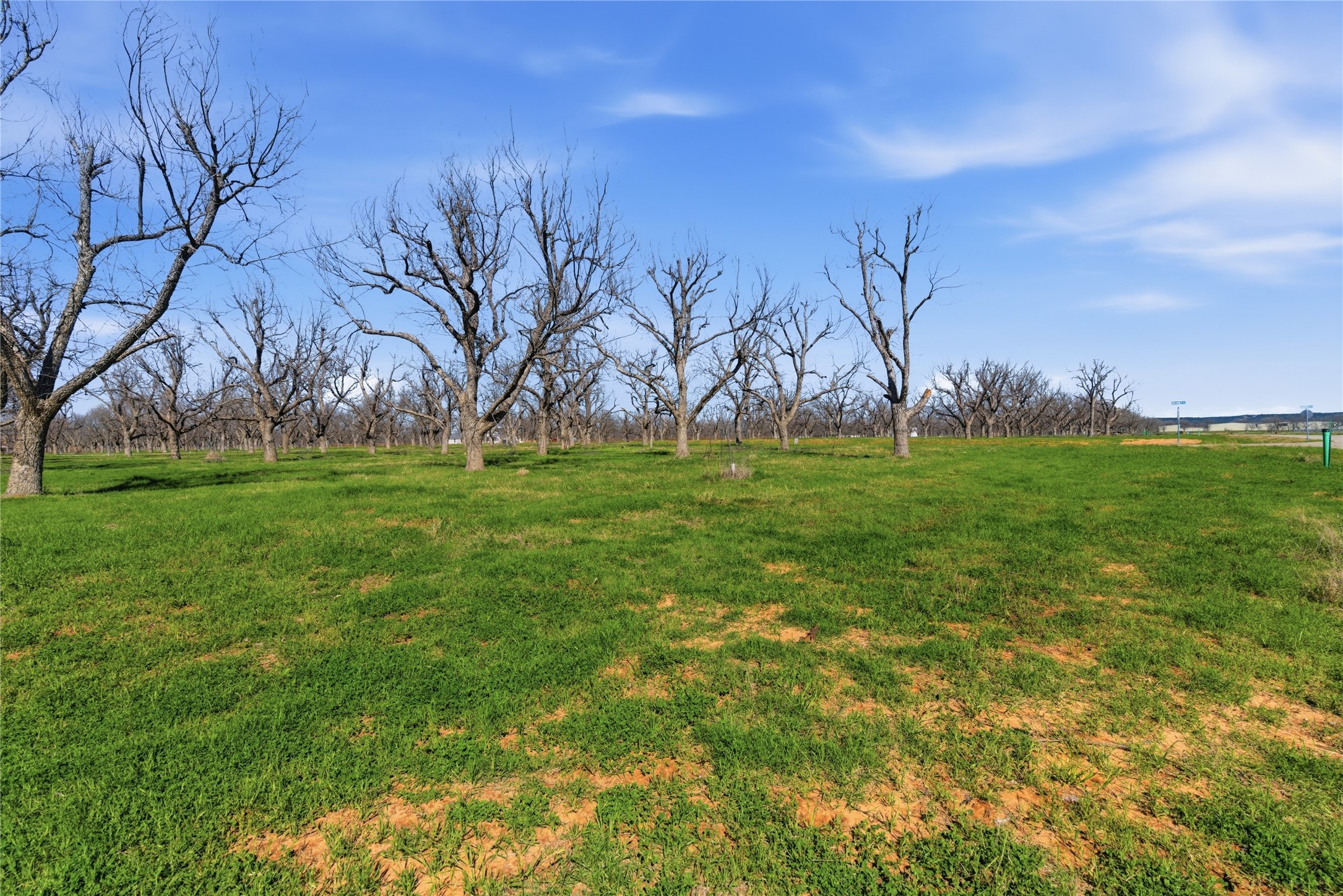 1730 Cirrus Loop Granbury TX 76049