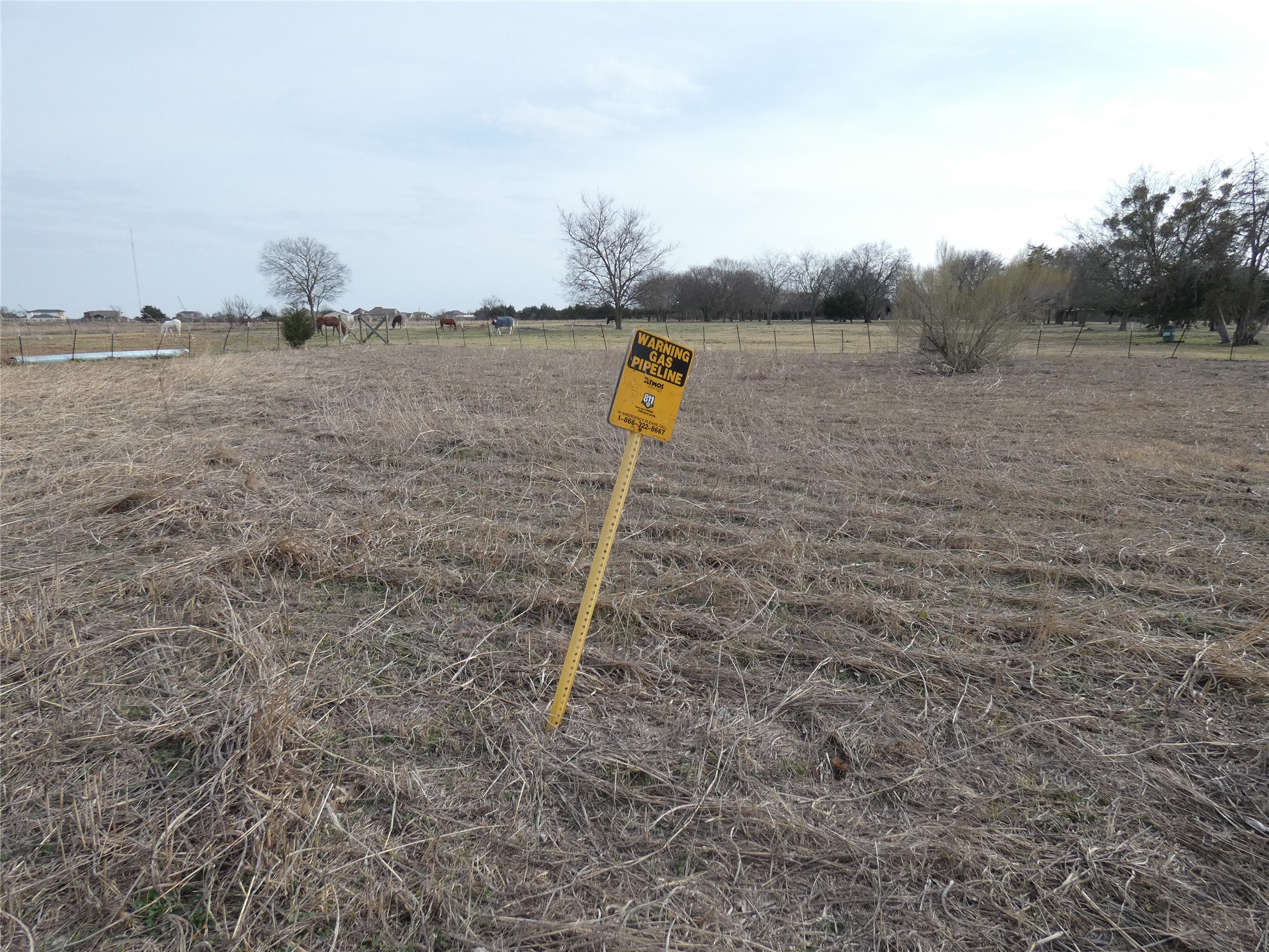 632 E Reindeer Road Lancaster TX 75146