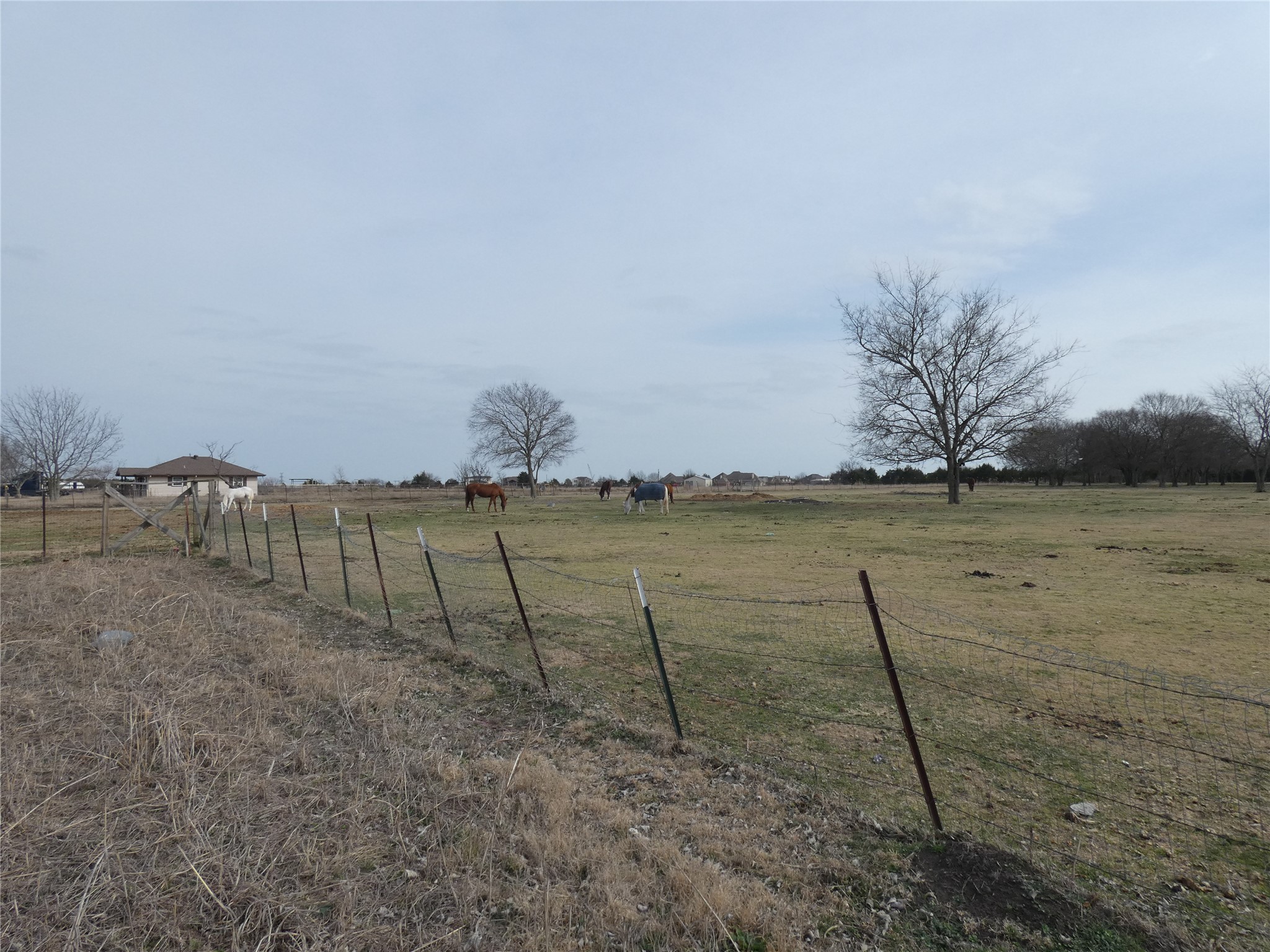 632 E Reindeer Road Lancaster TX 75146