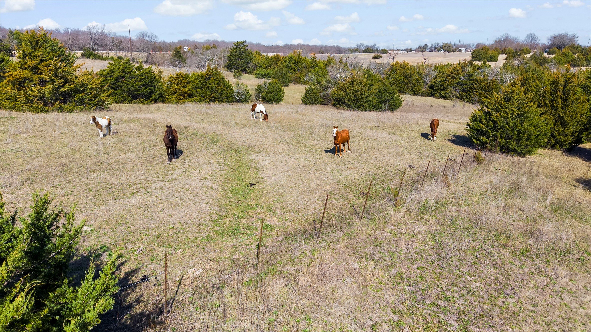 11016 State Highway 78 N Blue Ridge TX 75424