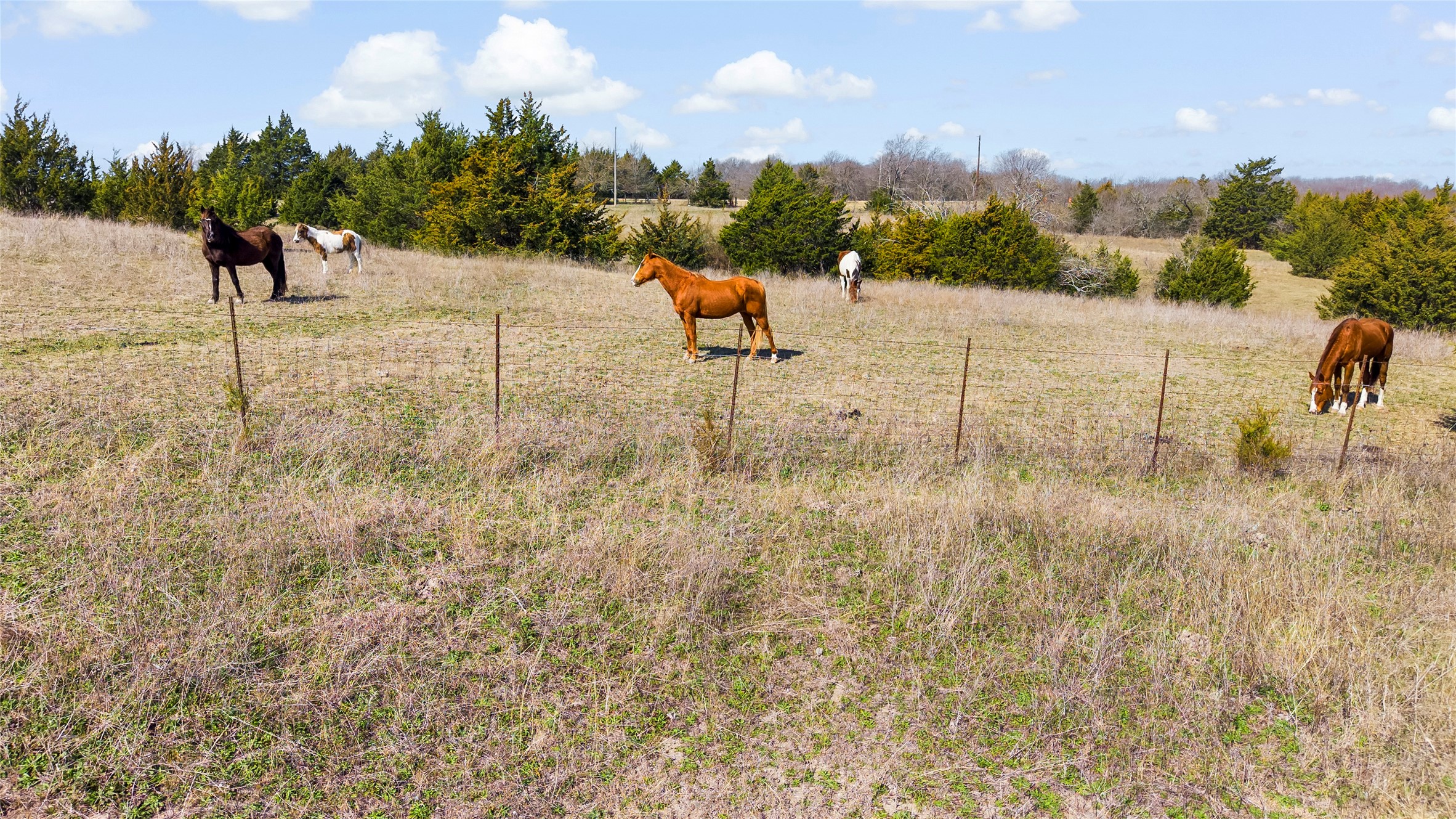 11016 State Highway 78 N Blue Ridge TX 75424