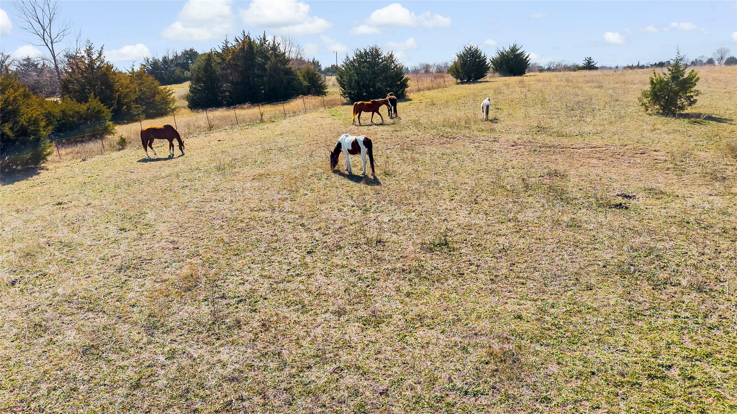 11016 State Highway 78 N Blue Ridge TX 75424