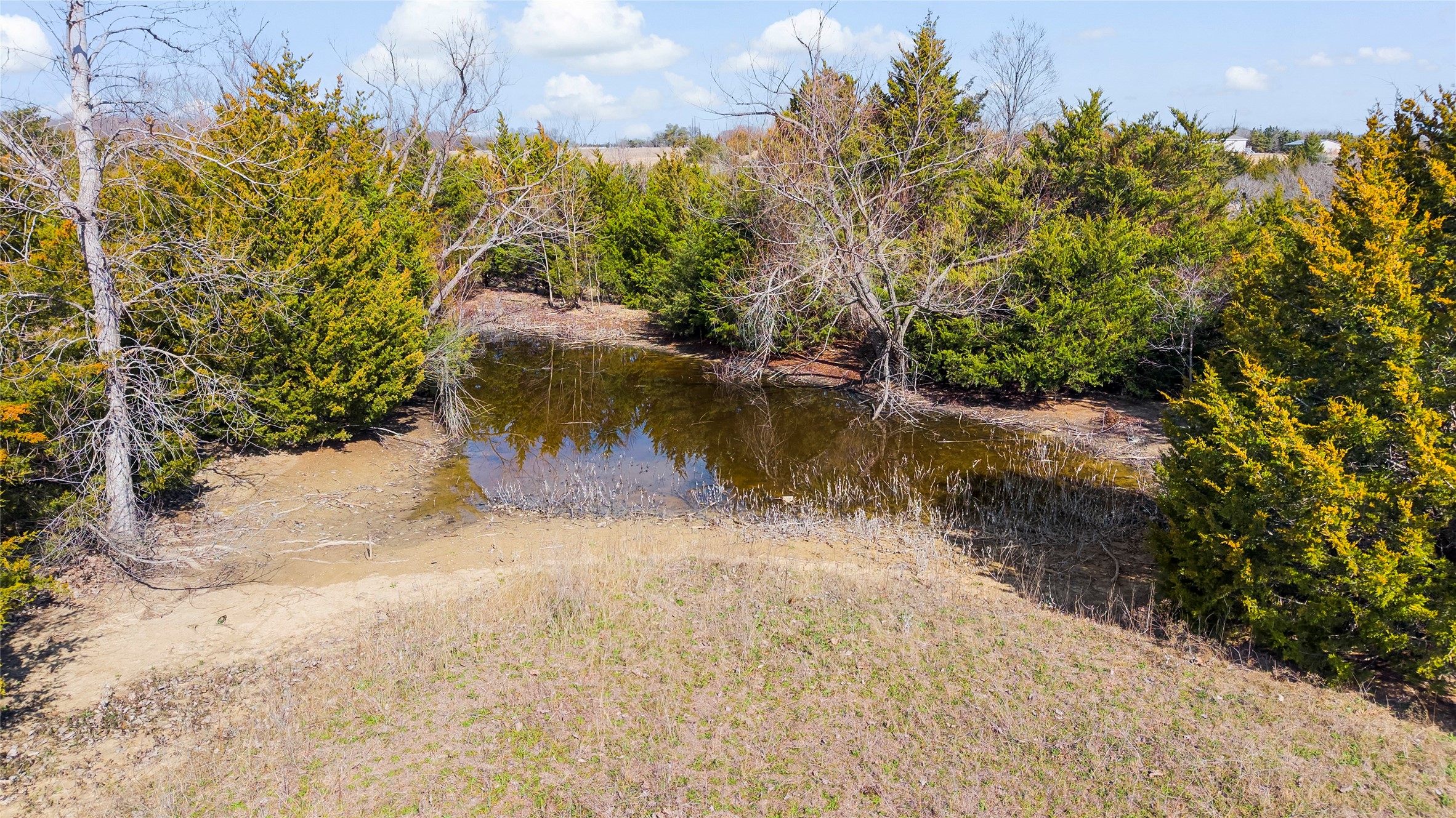 11016 State Highway 78 N Blue Ridge TX 75424