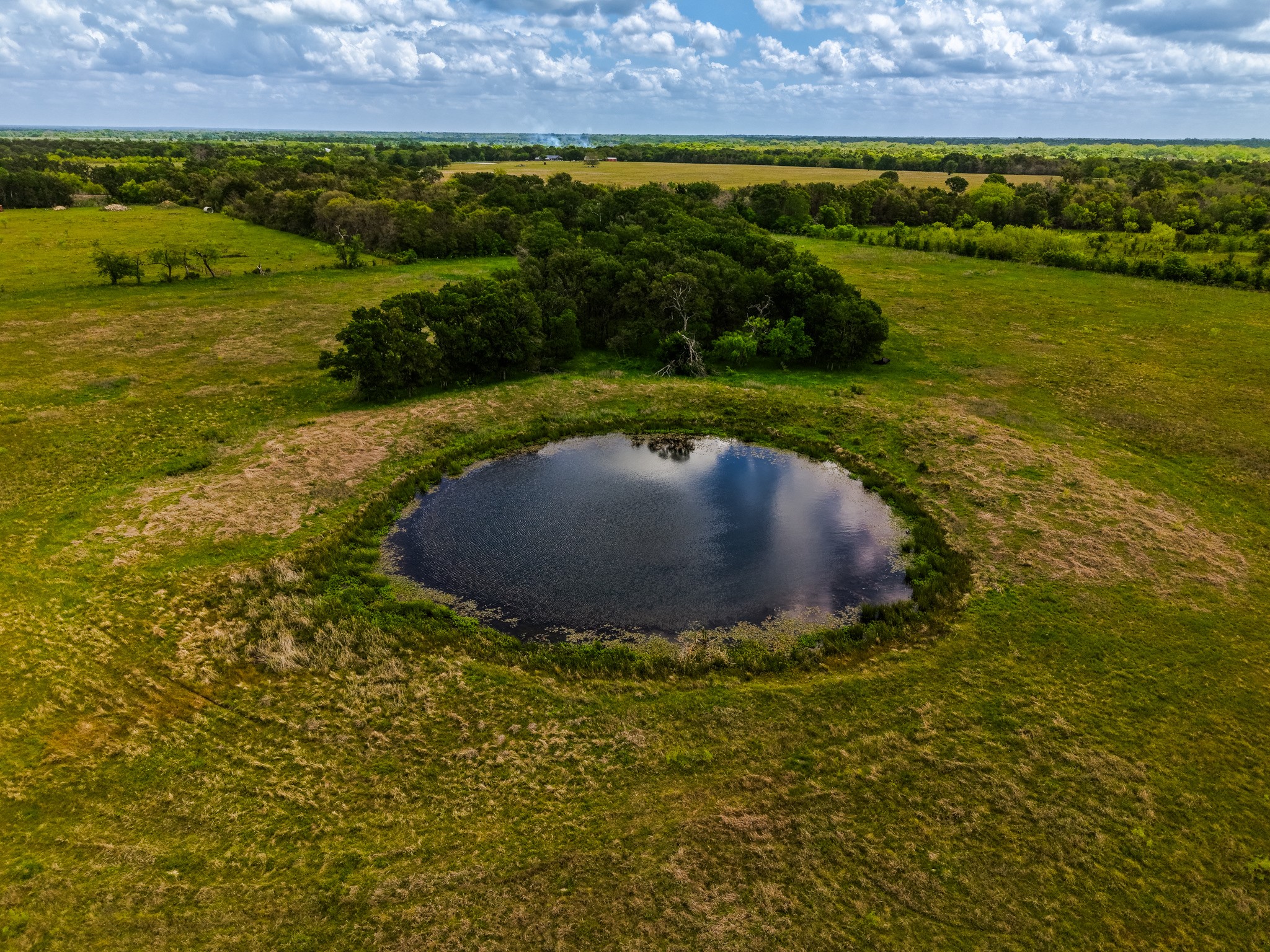 Tbd Tx-14 Groesbeck TX 76642