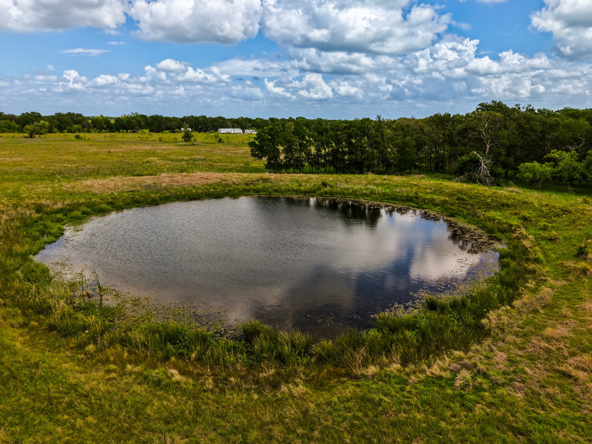 Tbd Tx-14 Groesbeck TX 76642