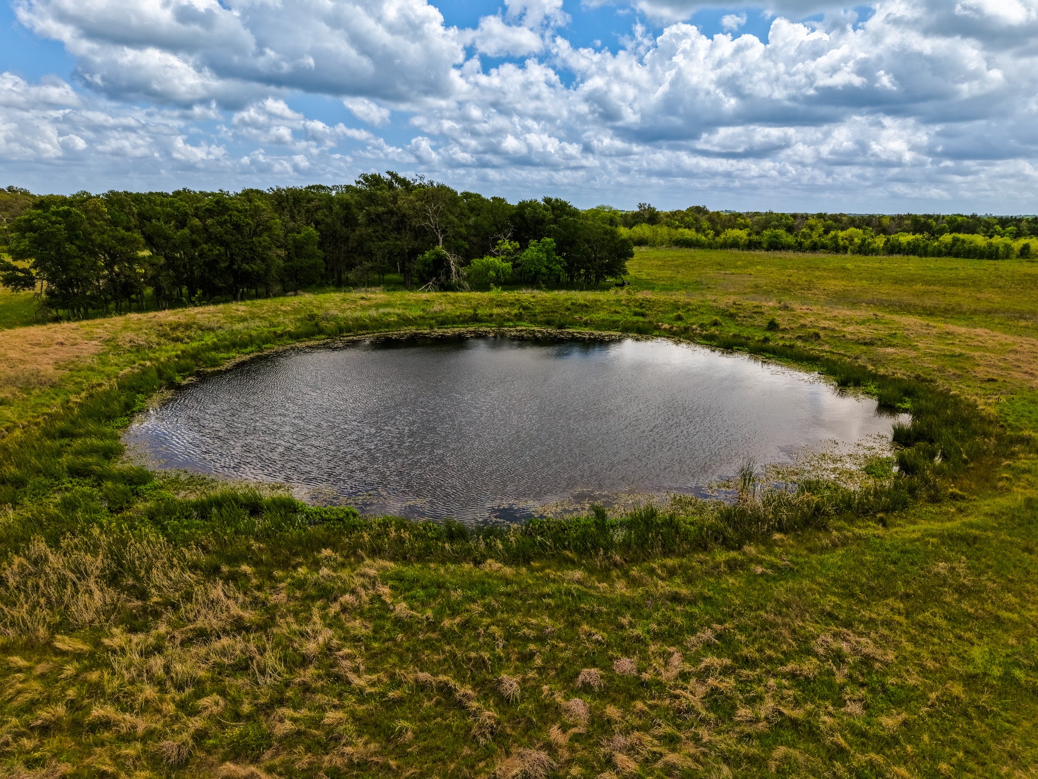 Tbd Tx-14 Groesbeck TX 76642