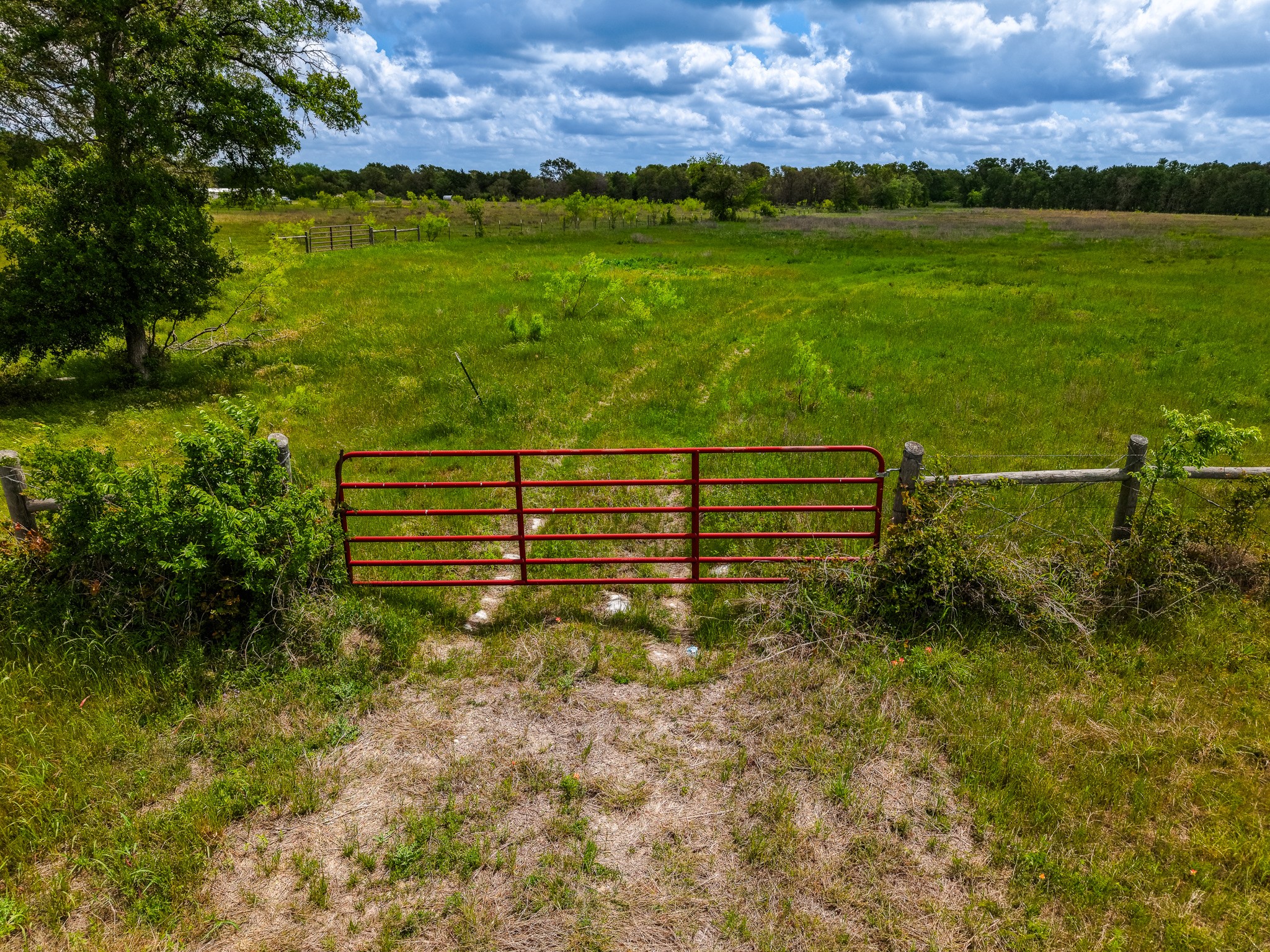 Tbd Tx-14 Groesbeck TX 76642