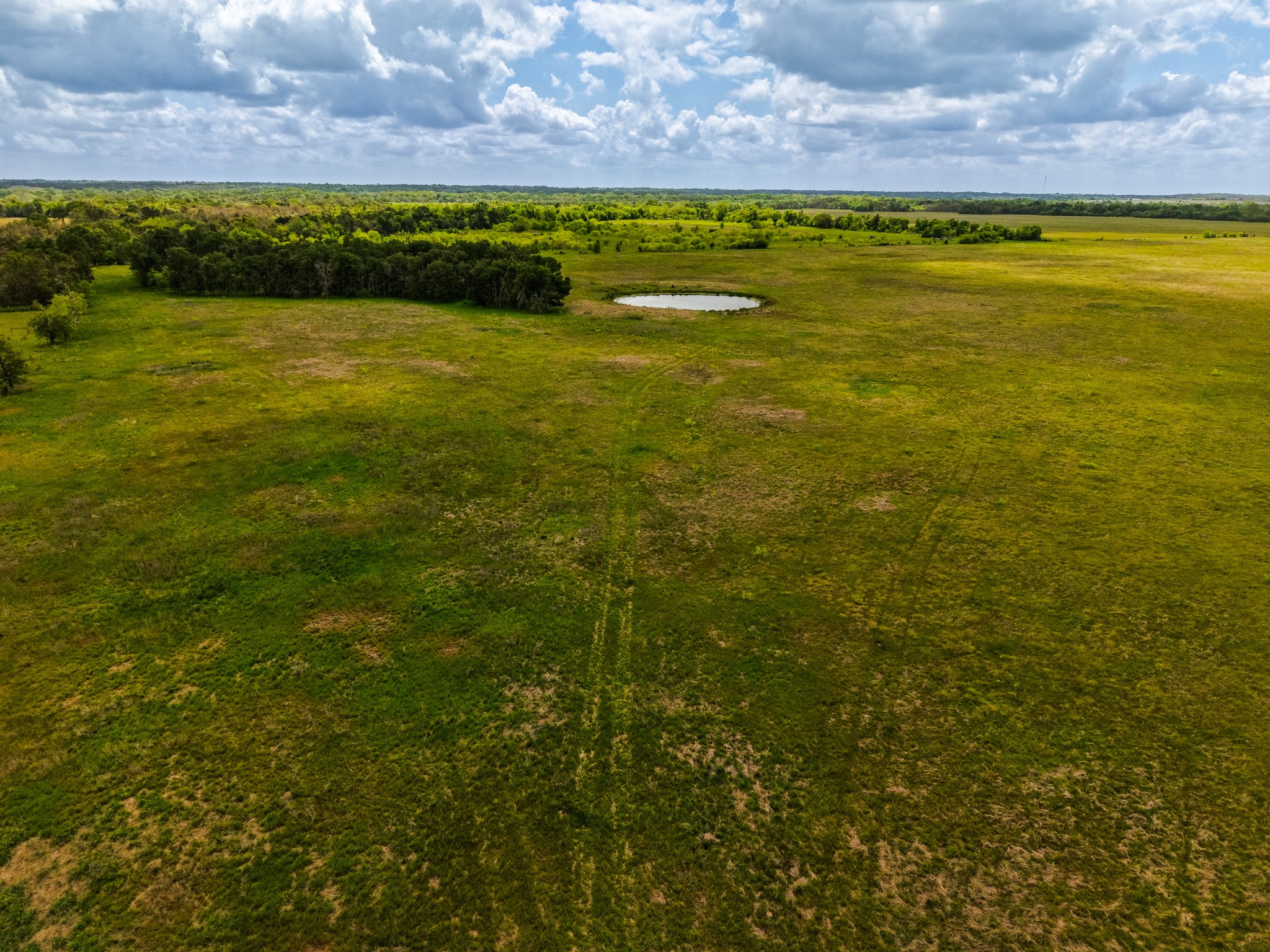 Tbd Tx-14 Groesbeck TX 76642