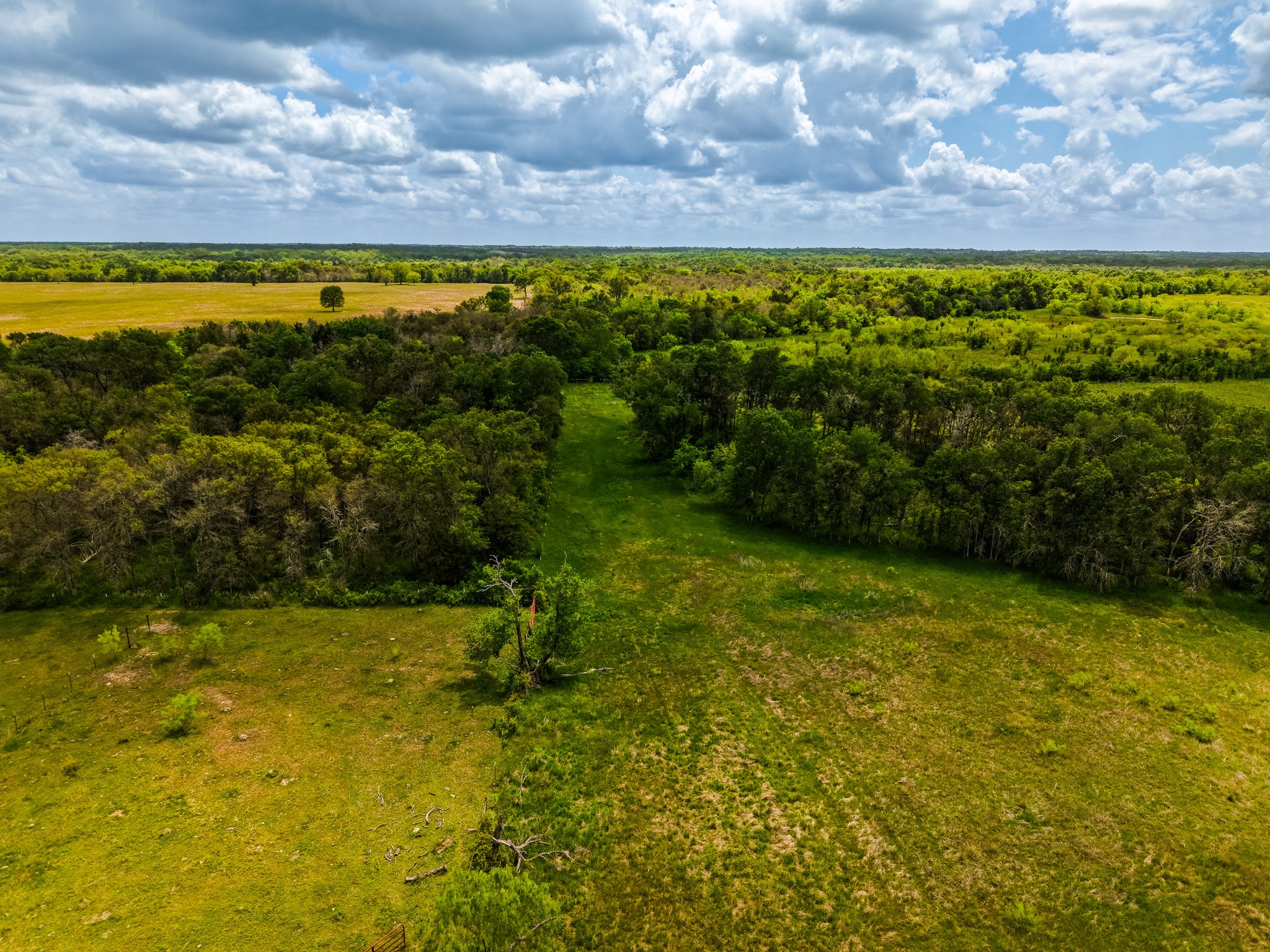 Tbd Tx-14 Groesbeck TX 76642