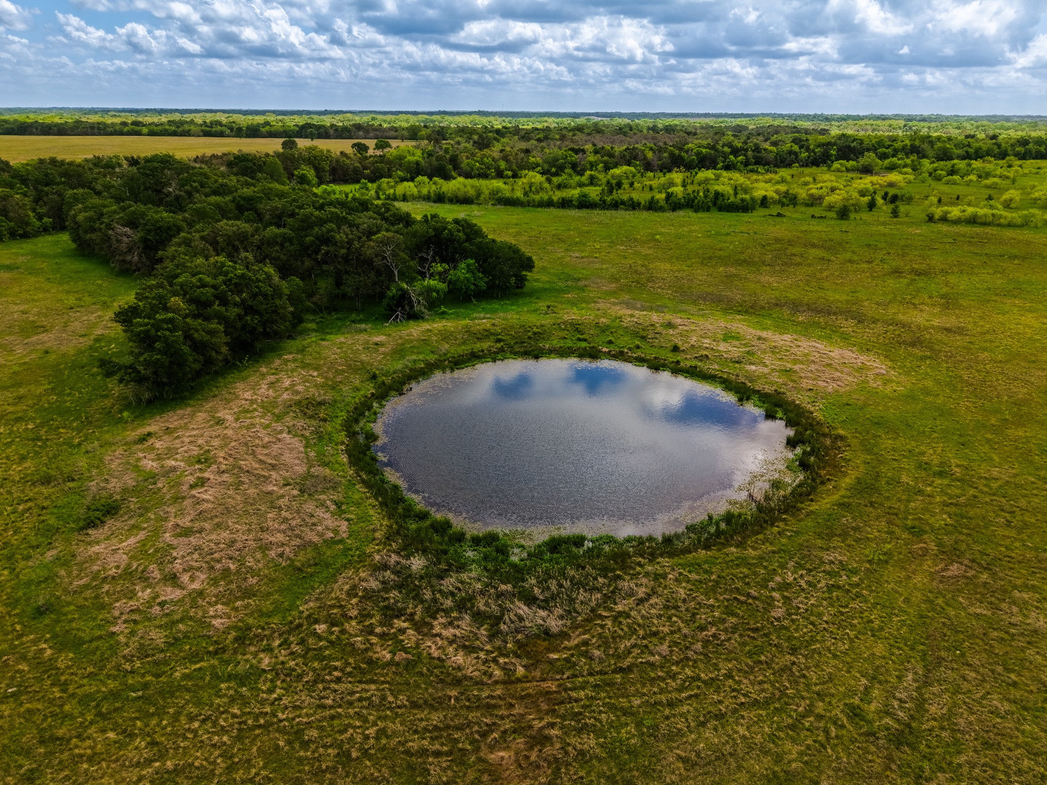 Tbd Tx-14 Groesbeck TX 76642