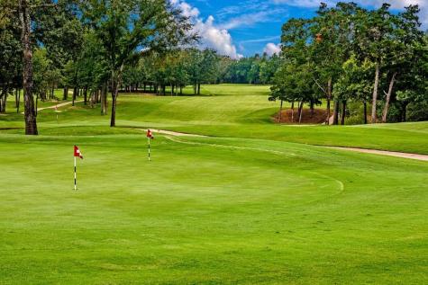 113 Shadow Creek Gordonville TX 76245