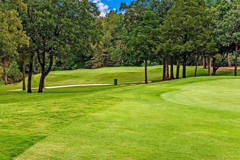 113 Shadow Creek Gordonville TX 76245