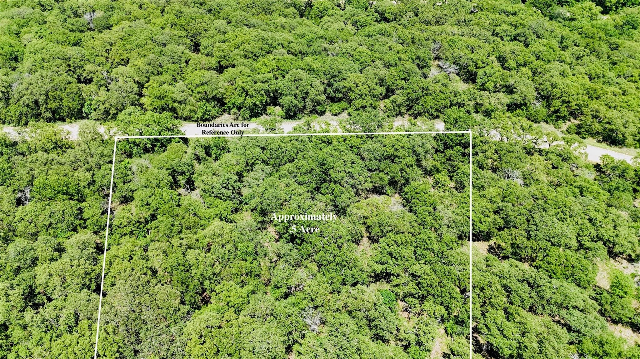 143 Briarwood Trail Nocona TX 76255