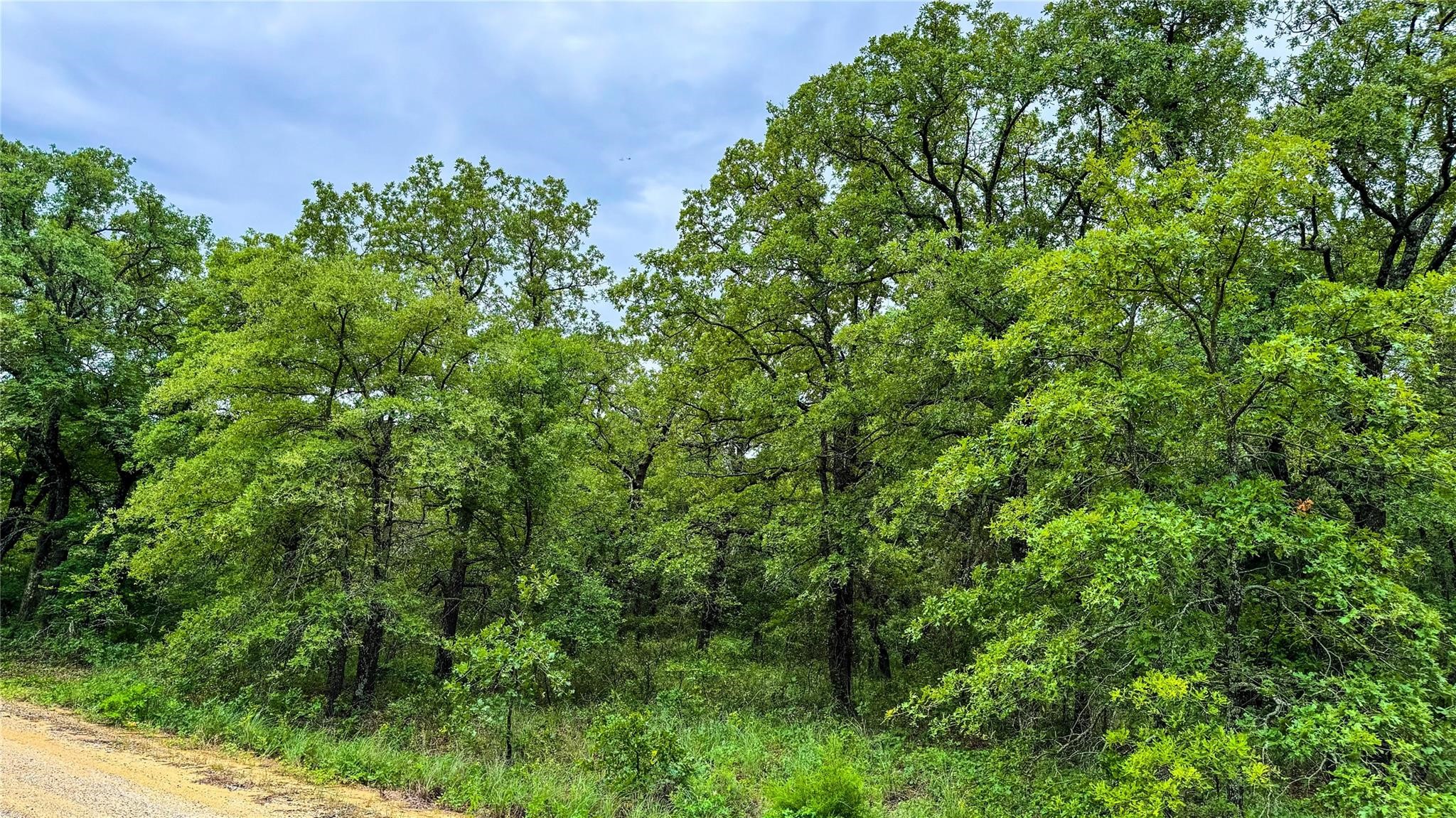 143 Briarwood Trail Nocona TX 76255