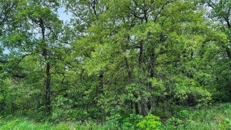 143 Briarwood Trail Nocona TX 76255