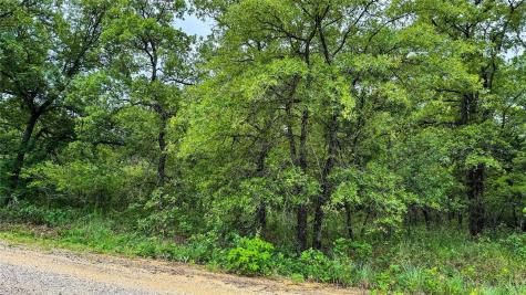 143 Briarwood Trail Nocona TX 76255