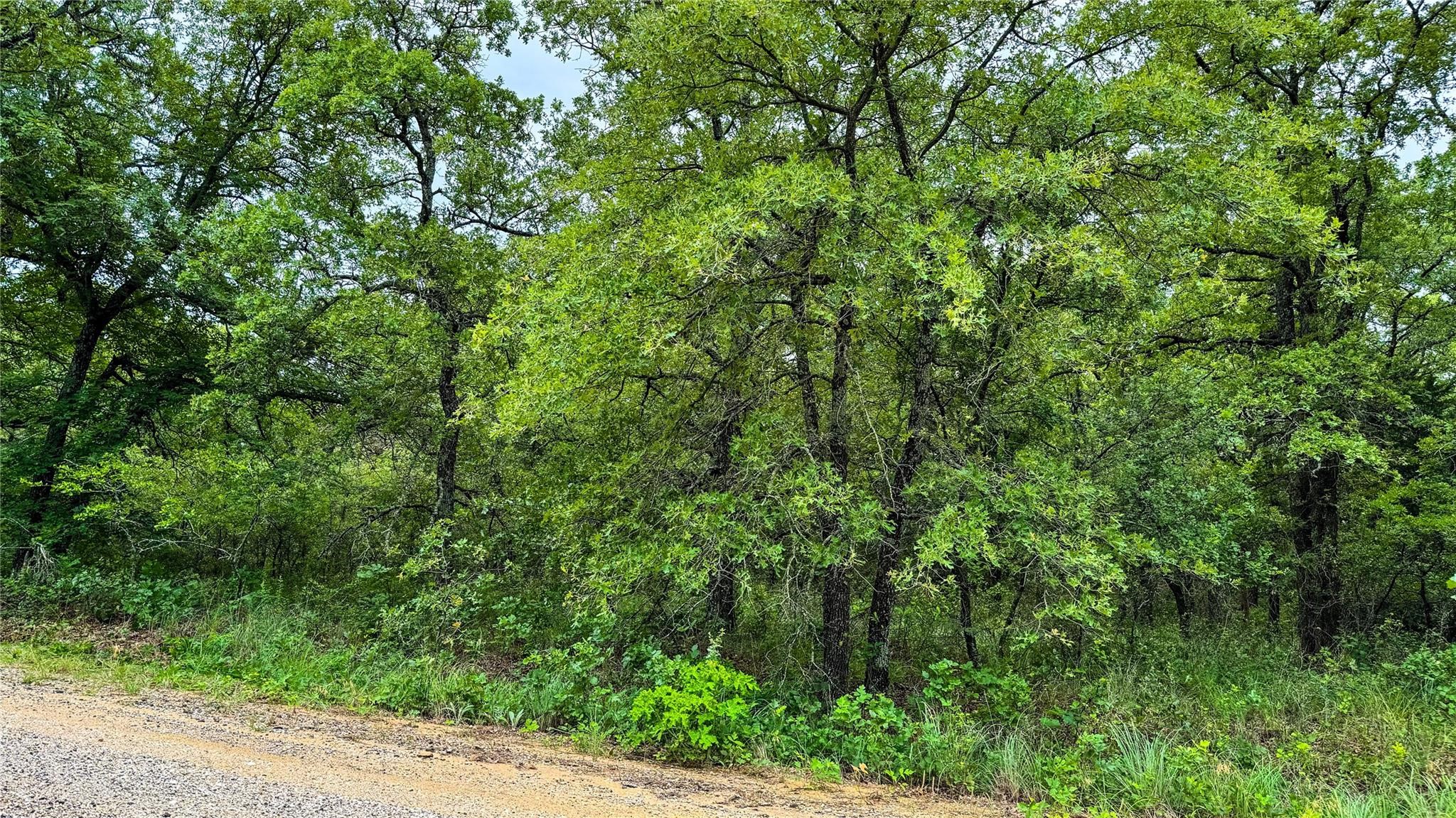 143 Briarwood Trail Nocona TX 76255