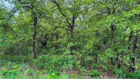 143 Briarwood Trail Nocona TX 76255