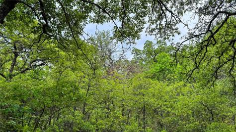 143 Briarwood Trail Nocona TX 76255