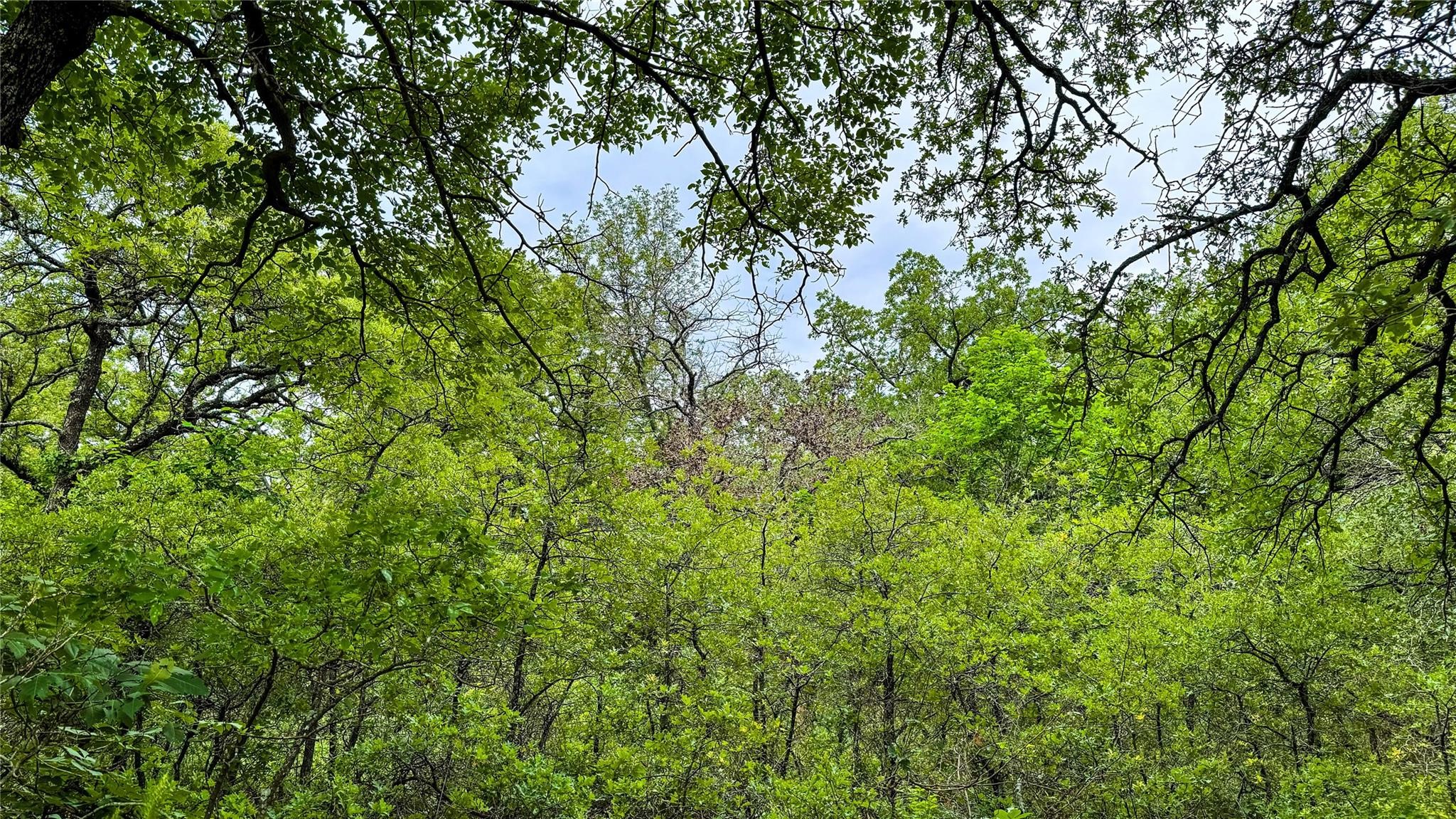 143 Briarwood Trail Nocona TX 76255