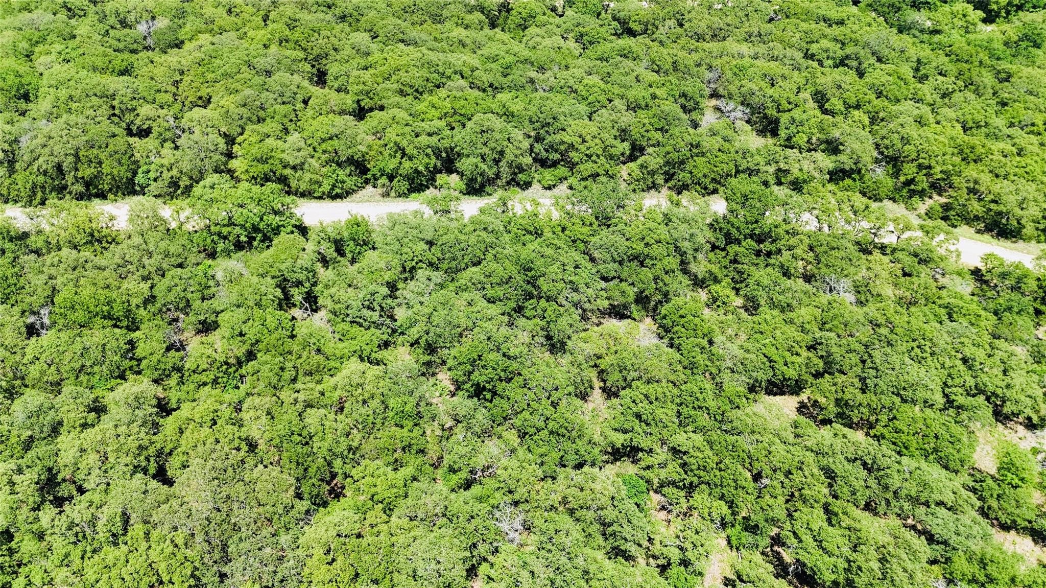 143 Briarwood Trail Nocona TX 76255