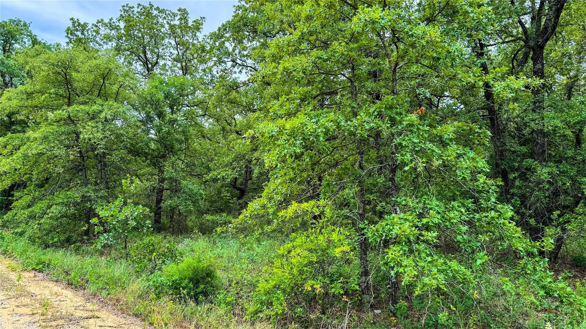 143 Briarwood Trail Nocona TX 76255
