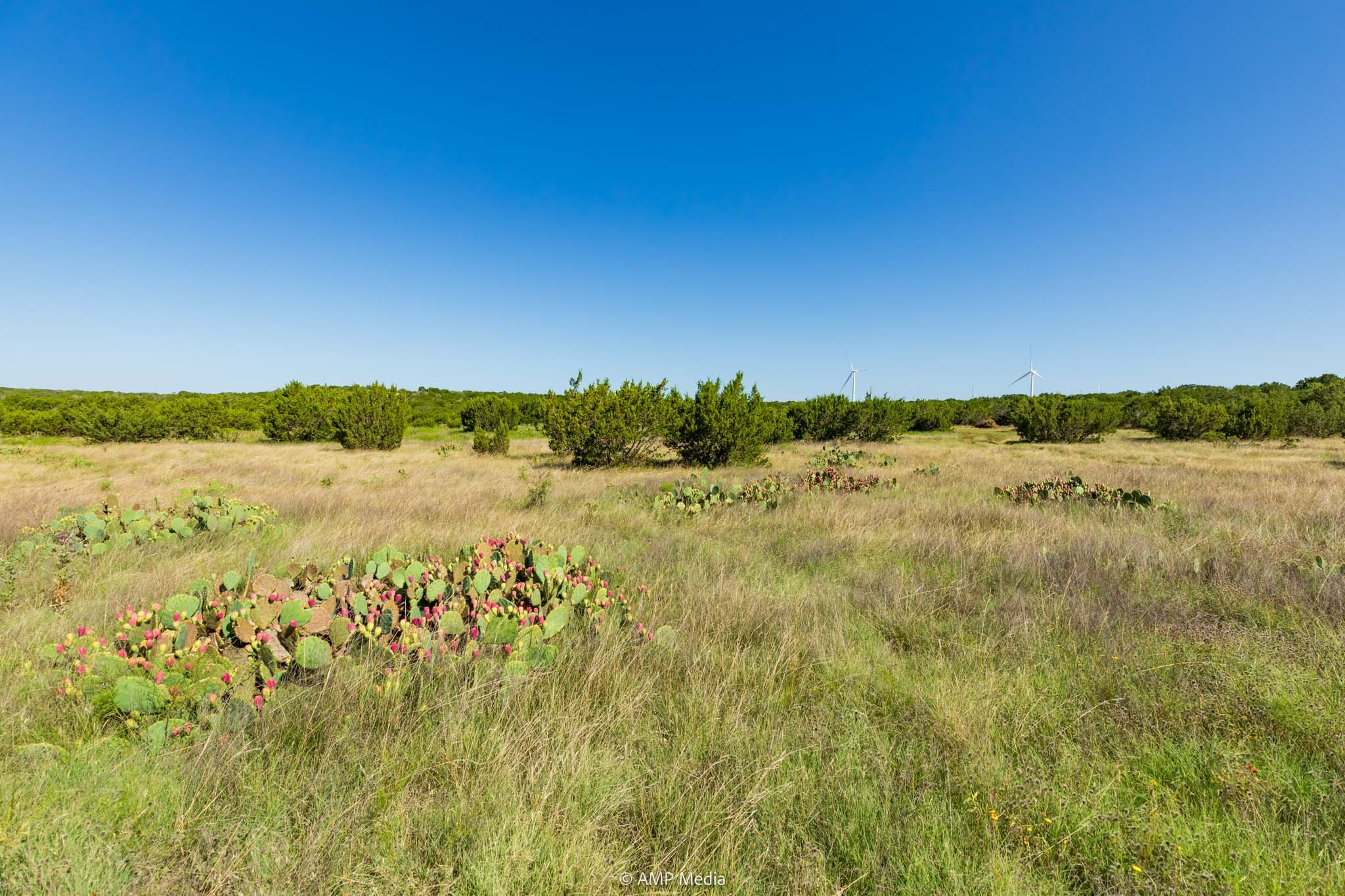 15190 Highway 277 S Wingate TX 79566