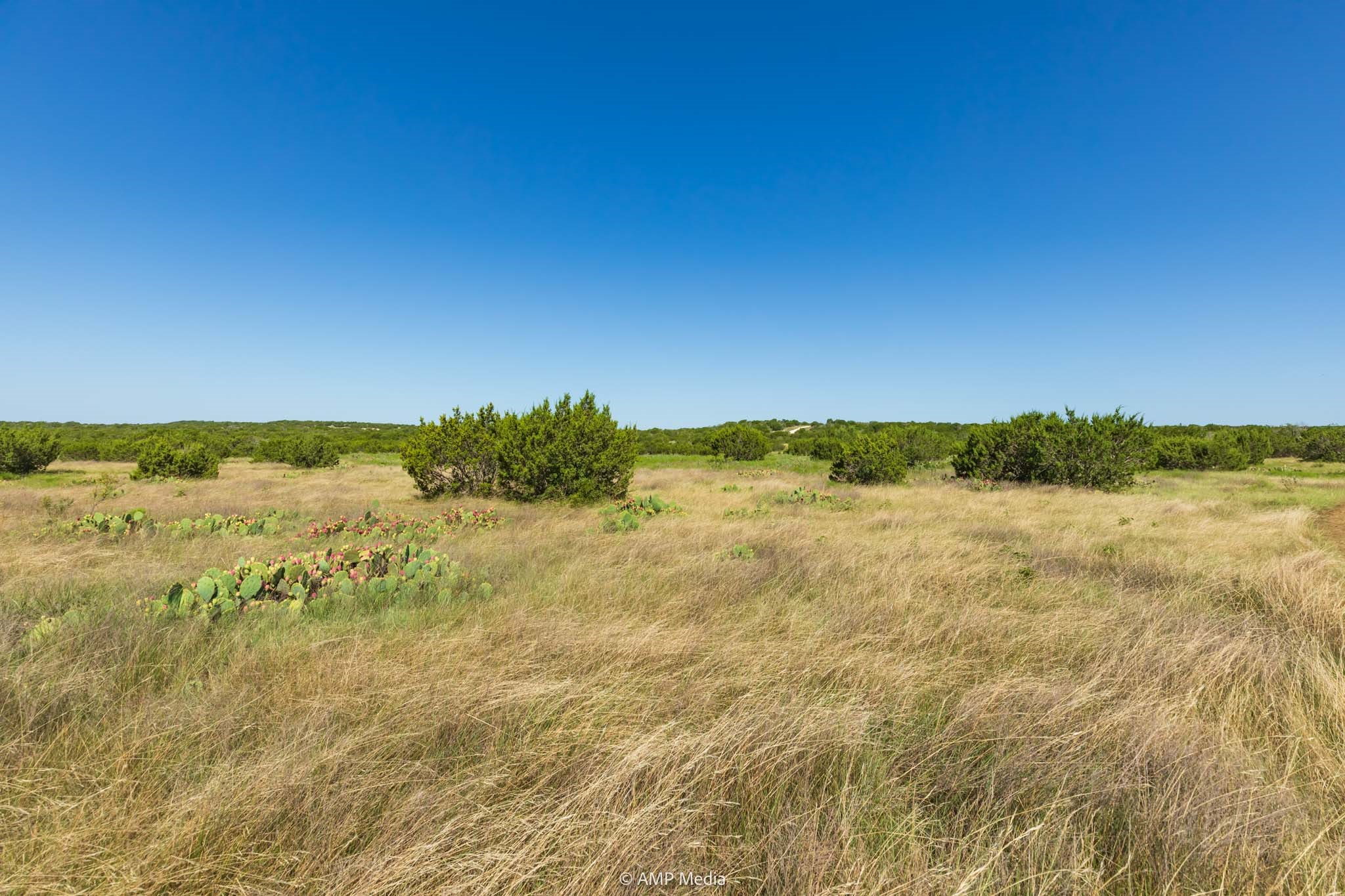 15190 Highway 277 S Wingate TX 79566