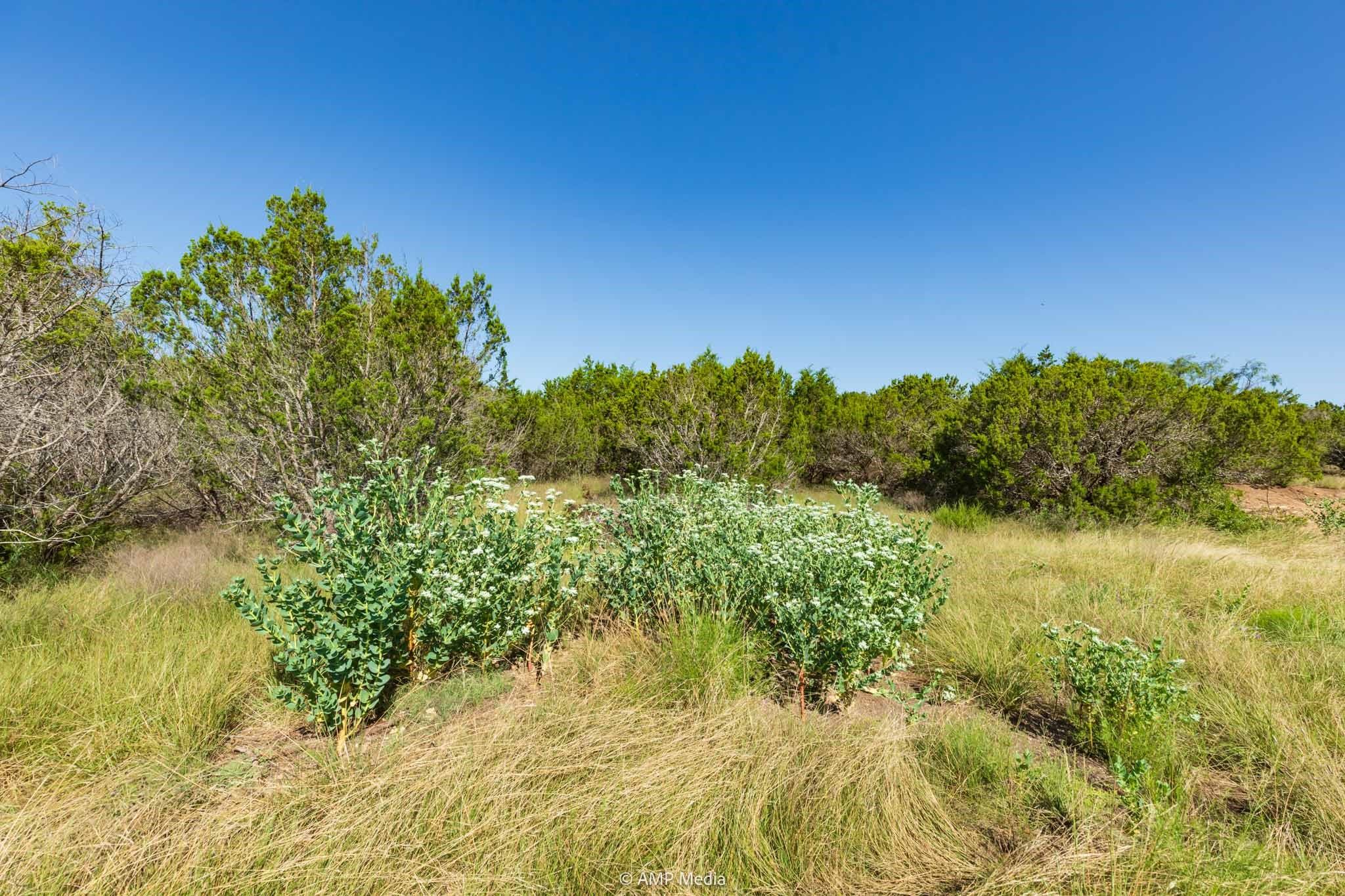 15190 Highway 277 S Wingate TX 79566