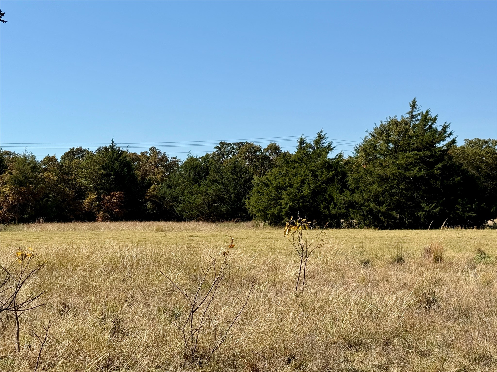 Tbd Big Tree Road Montague TX 76251