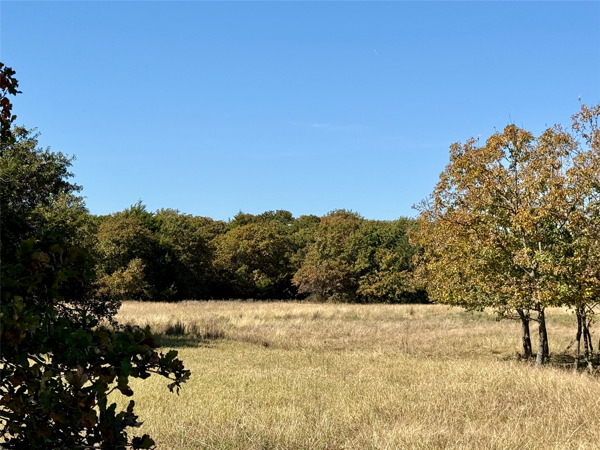 Tbd Big Tree Road Montague TX 76251