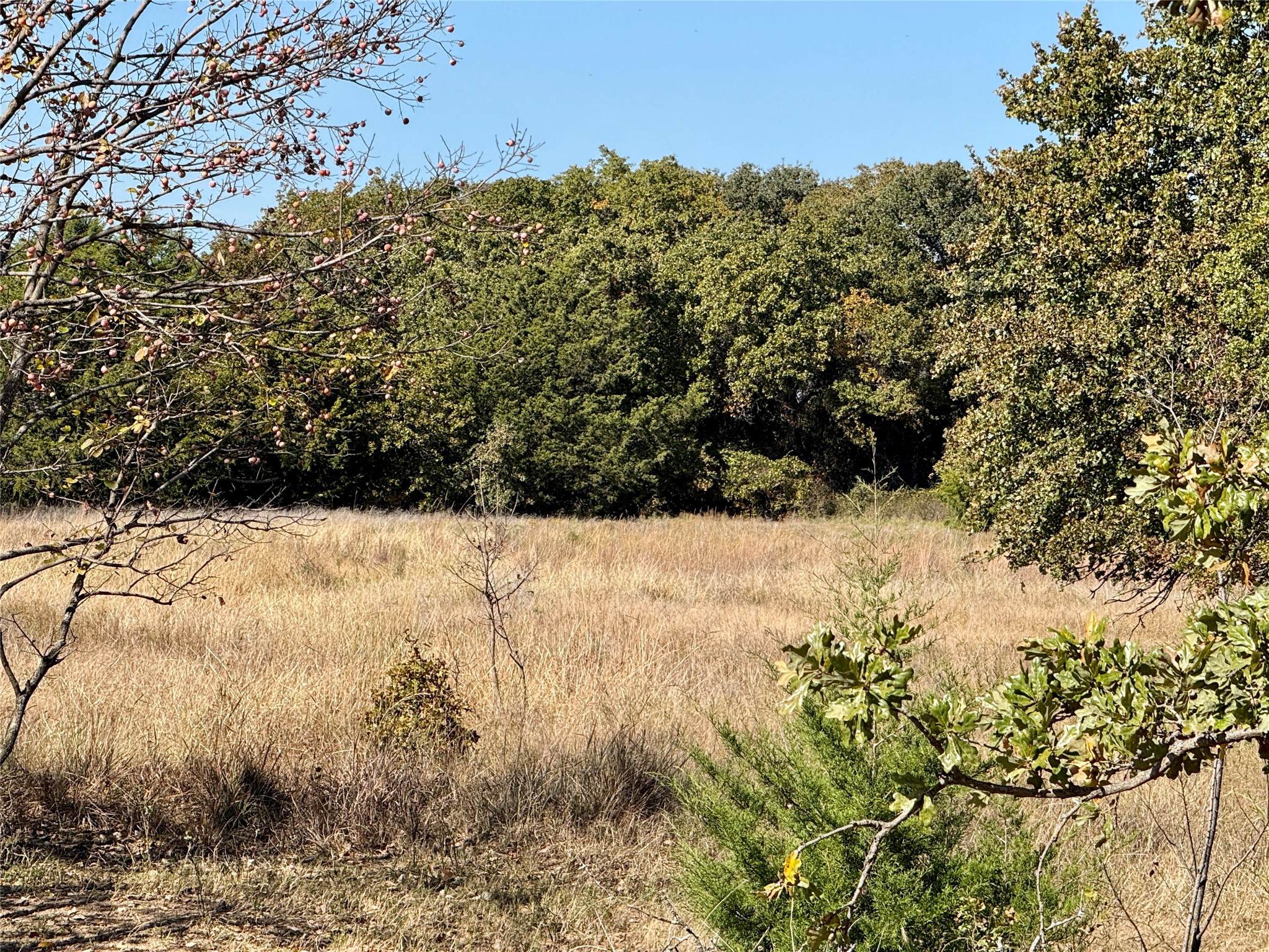 Tbd Big Tree Road Montague TX 76251