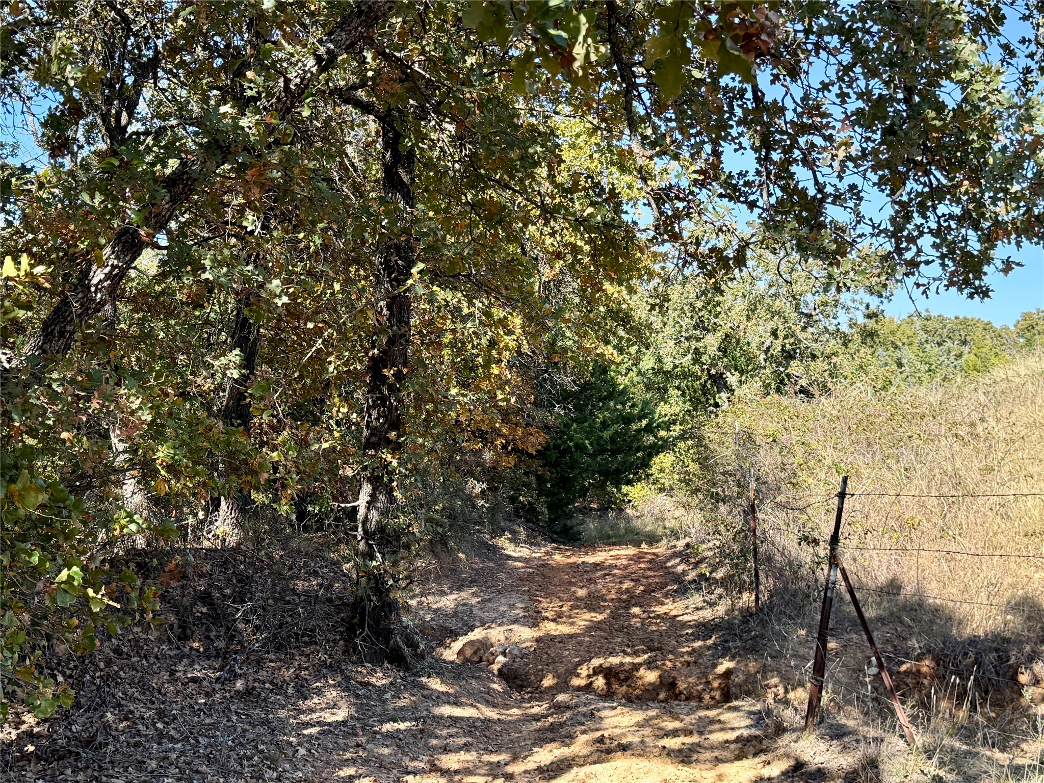 Tbd Big Tree Road Montague TX 76251