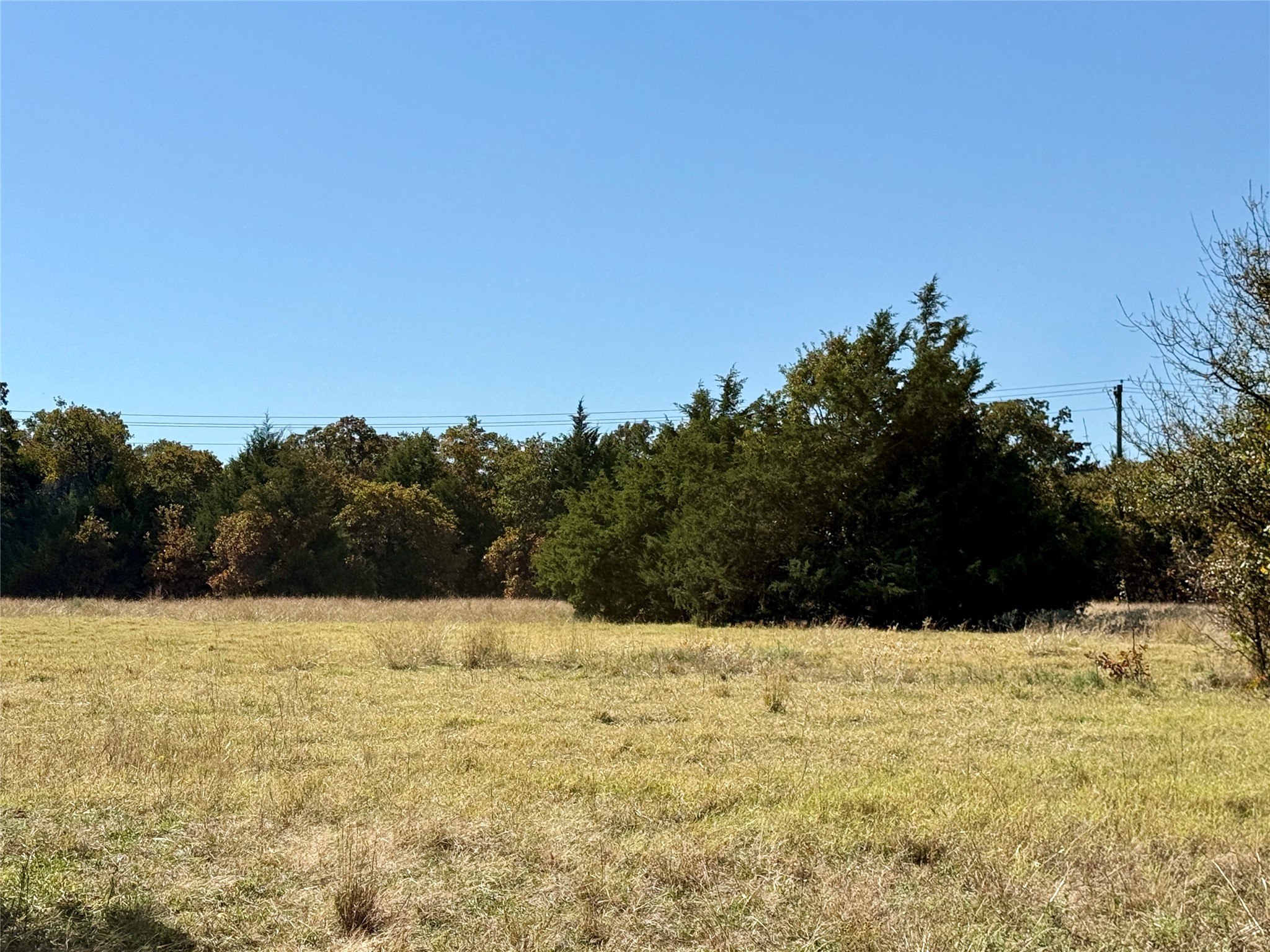 Tbd Big Tree Road Montague TX 76251